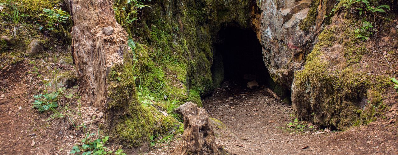 NASCITA E RINASCITA nascita e rinascita