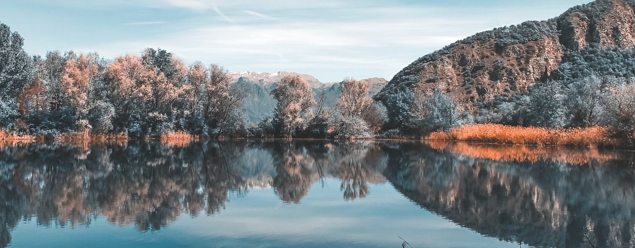 COACHING E WALKING COACHING walking coaching